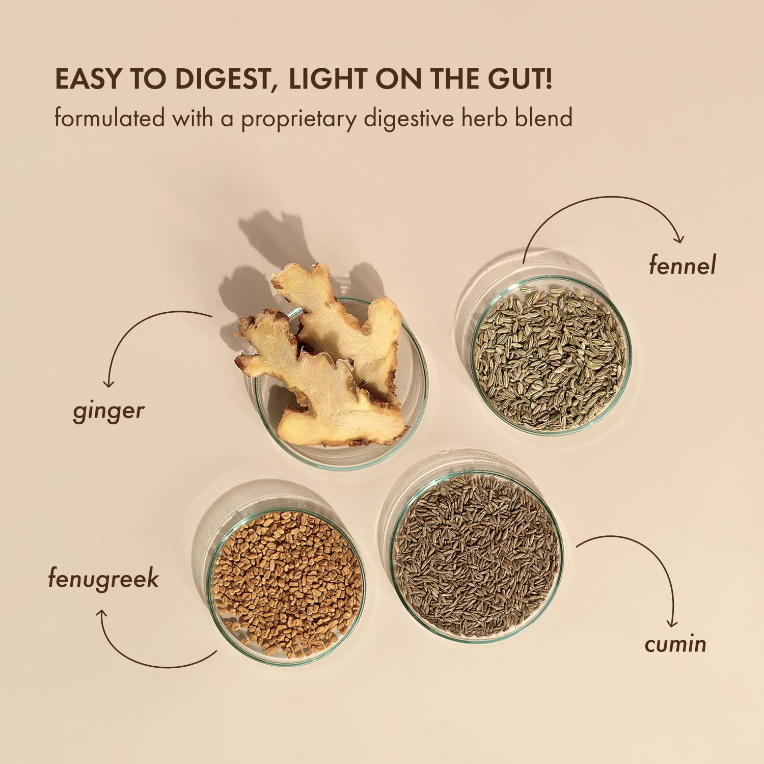 Cosmix No-Nonsense Plant Protein