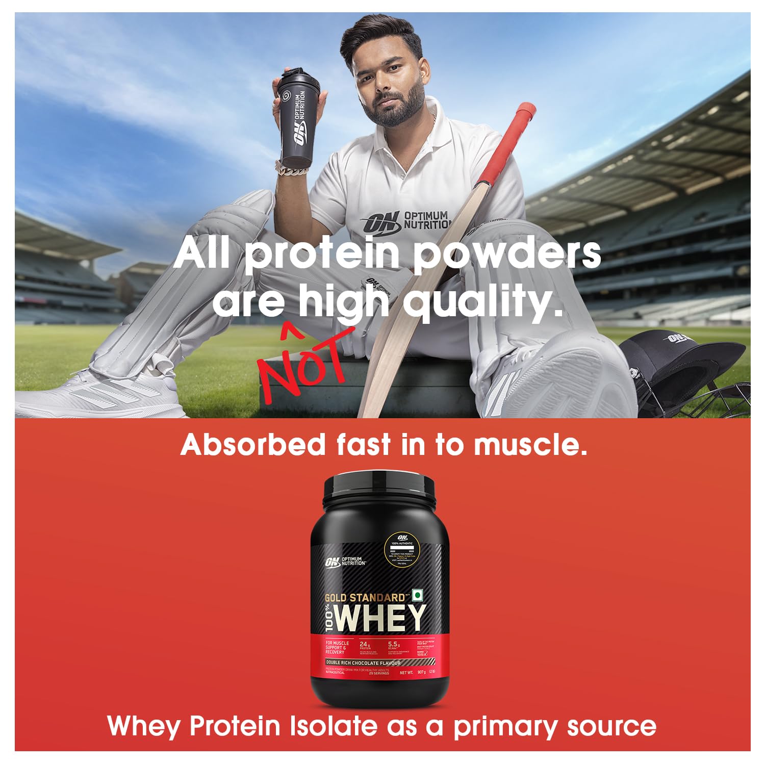 Optimum Nutrition (ON) Gold Standard 100% Whey Protein Powder 2 lbs, 907 g (Double Rich Chocolate)